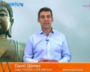 Coaching consejo