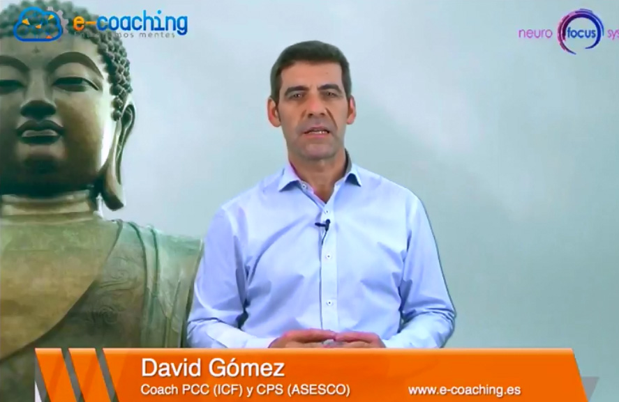 Coaching consejo